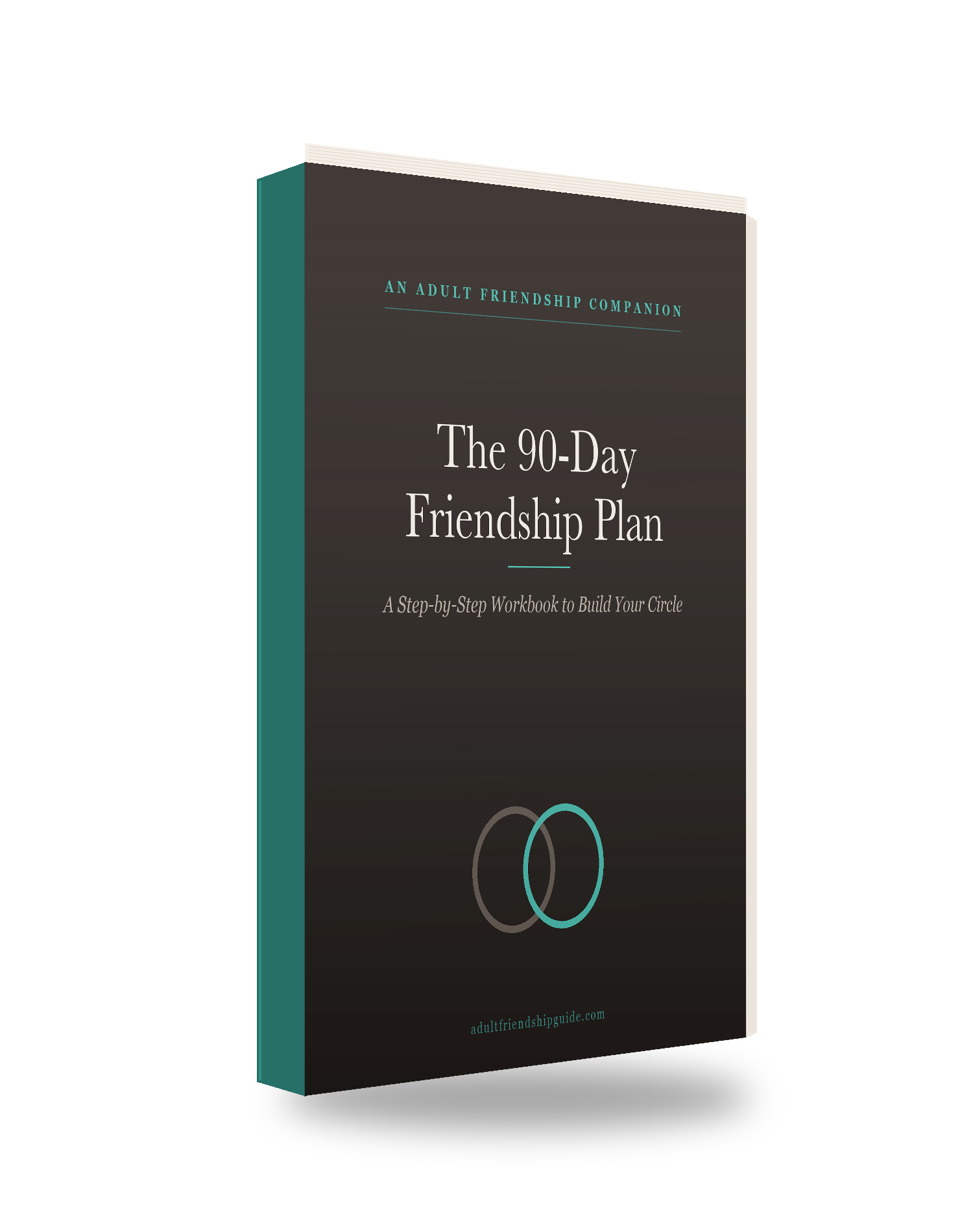 The 90-Day Friendship Plan cover